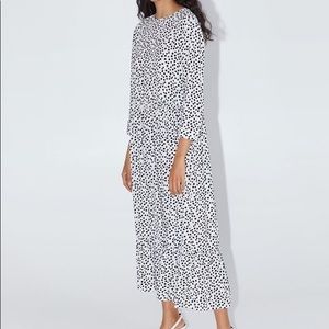 Zara polka dot dress